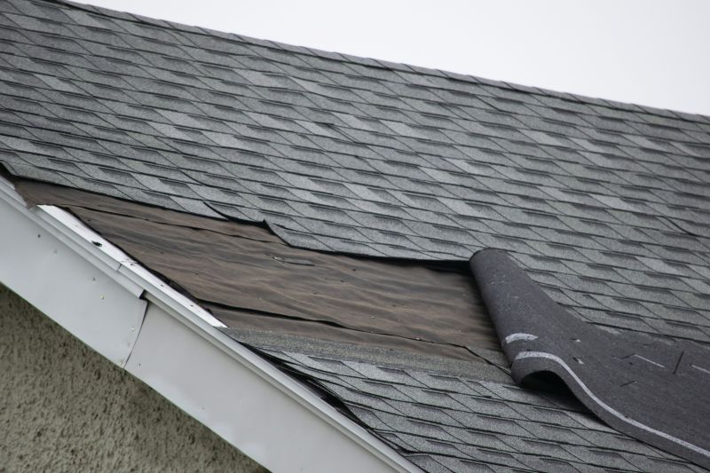 Causes Of Asphalt Shingle Damage And When Repair Is Enough
